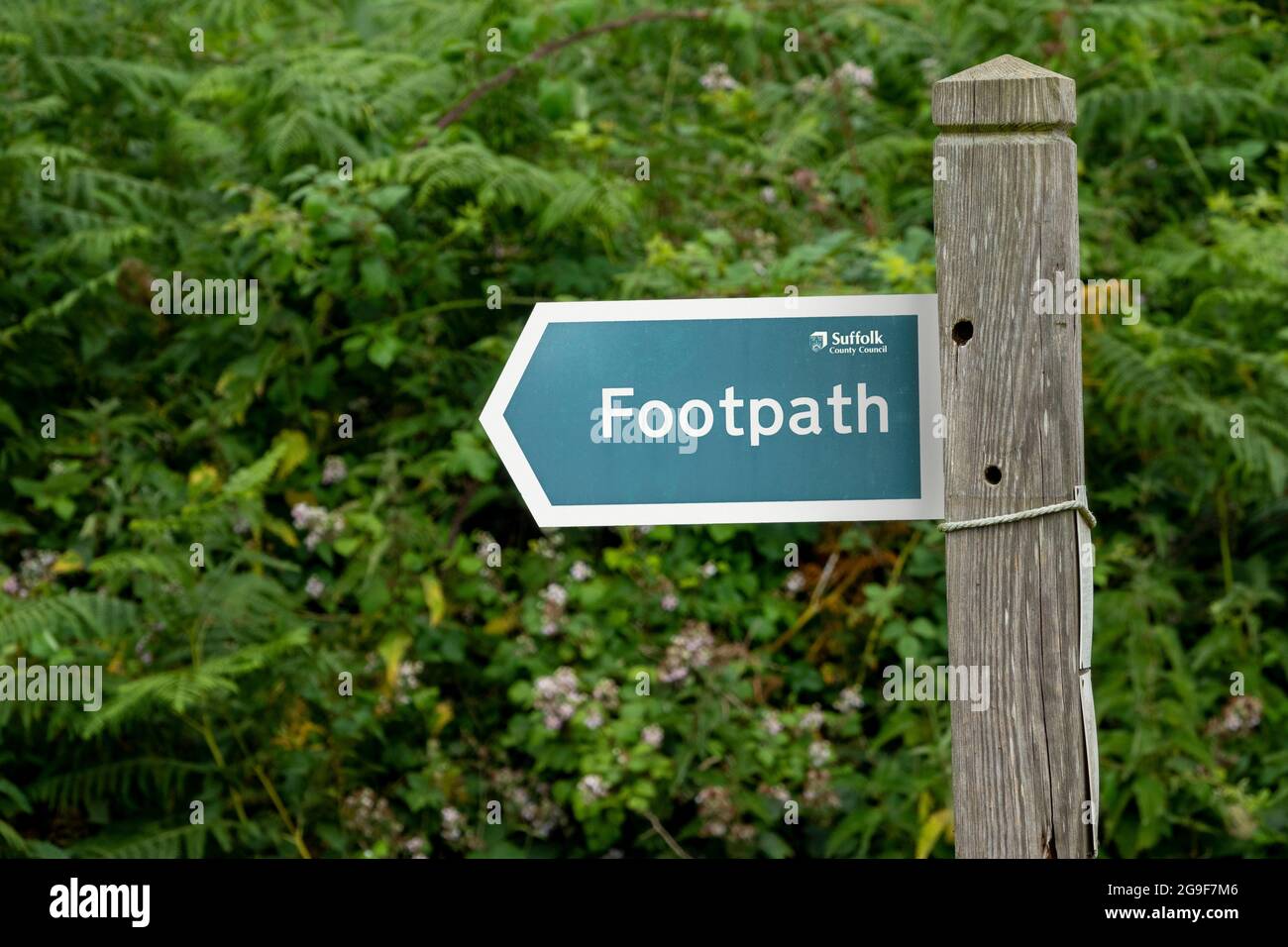 Directional arrow footpath sign pointing to the left mounted on a wooden post with brambles and undergrowth in the background Stock Photo
