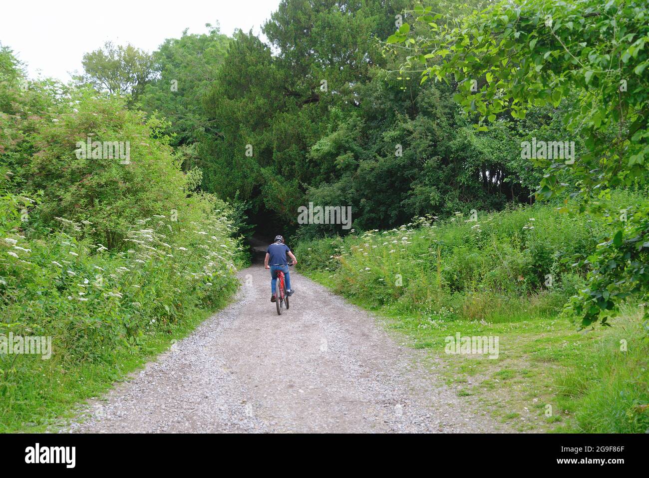 Rear view of a teenage boy riding a mountain bike on a track in the Surrey Hills near Newlands Corner England UK Stock Photo