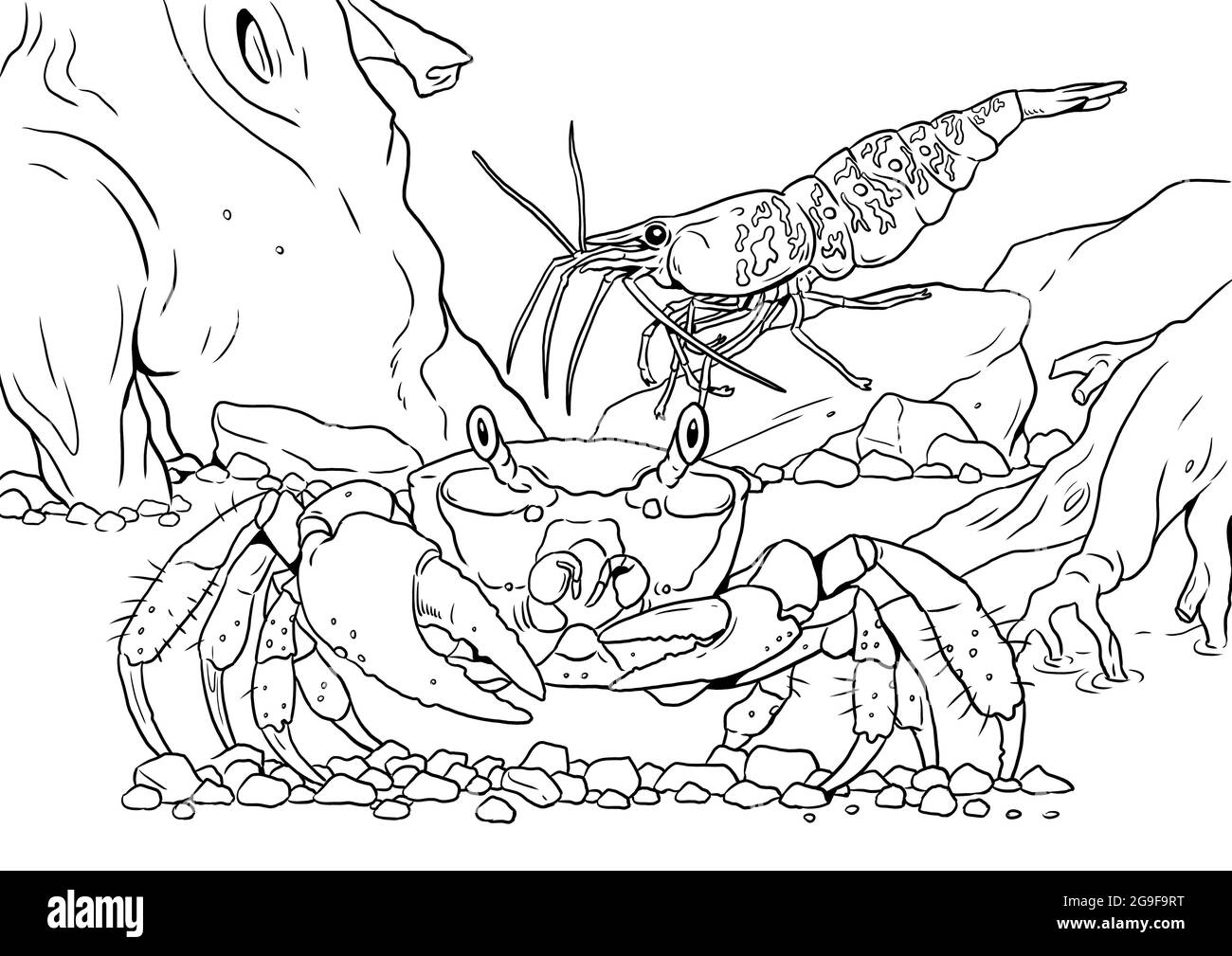 Tropical marine crab with prawn. Colorful sea animals digital template. Coloring book for children and adults. Stock Photo