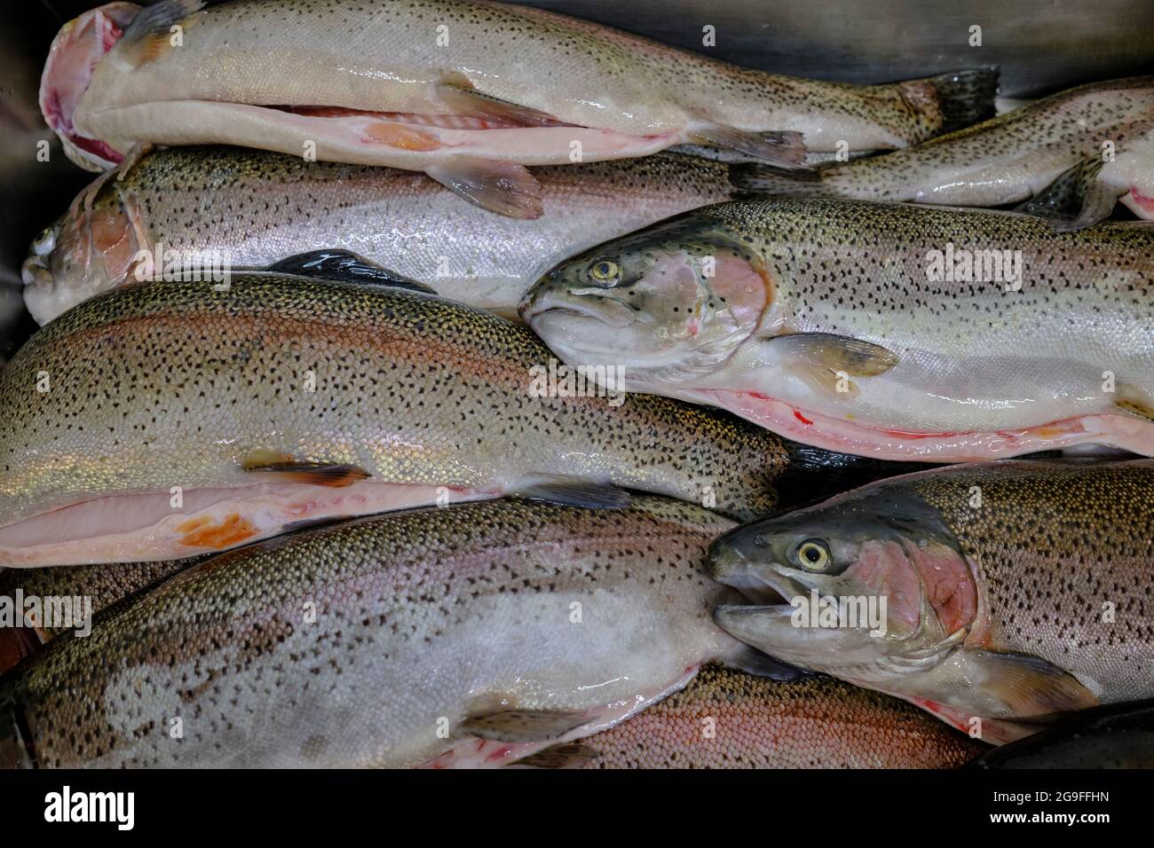 France, Pyrénées-Atlantiques (64), Basque Country, Banka trout farming Stock Photo