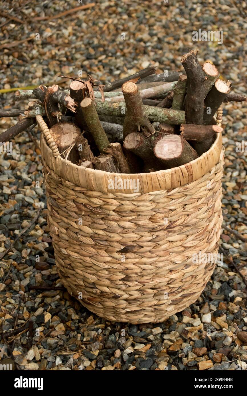 Round, woven straw basket full sawn logs ready for use as firewood