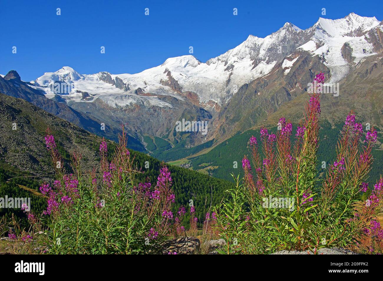 Seven four-thousand-meter peaks in Valais in the Saas Valley, Switzerland. From left: Allalin 4027 m, Alphubel 4206 m, Taeschhorn 4490 m, Dom 4545 m, Lenzspitze 4294 m, Nadelhorn 4327 m, Stecknadelhorn 4241 m, seen from Kreuzboden / Saasgrund Stock Photo
