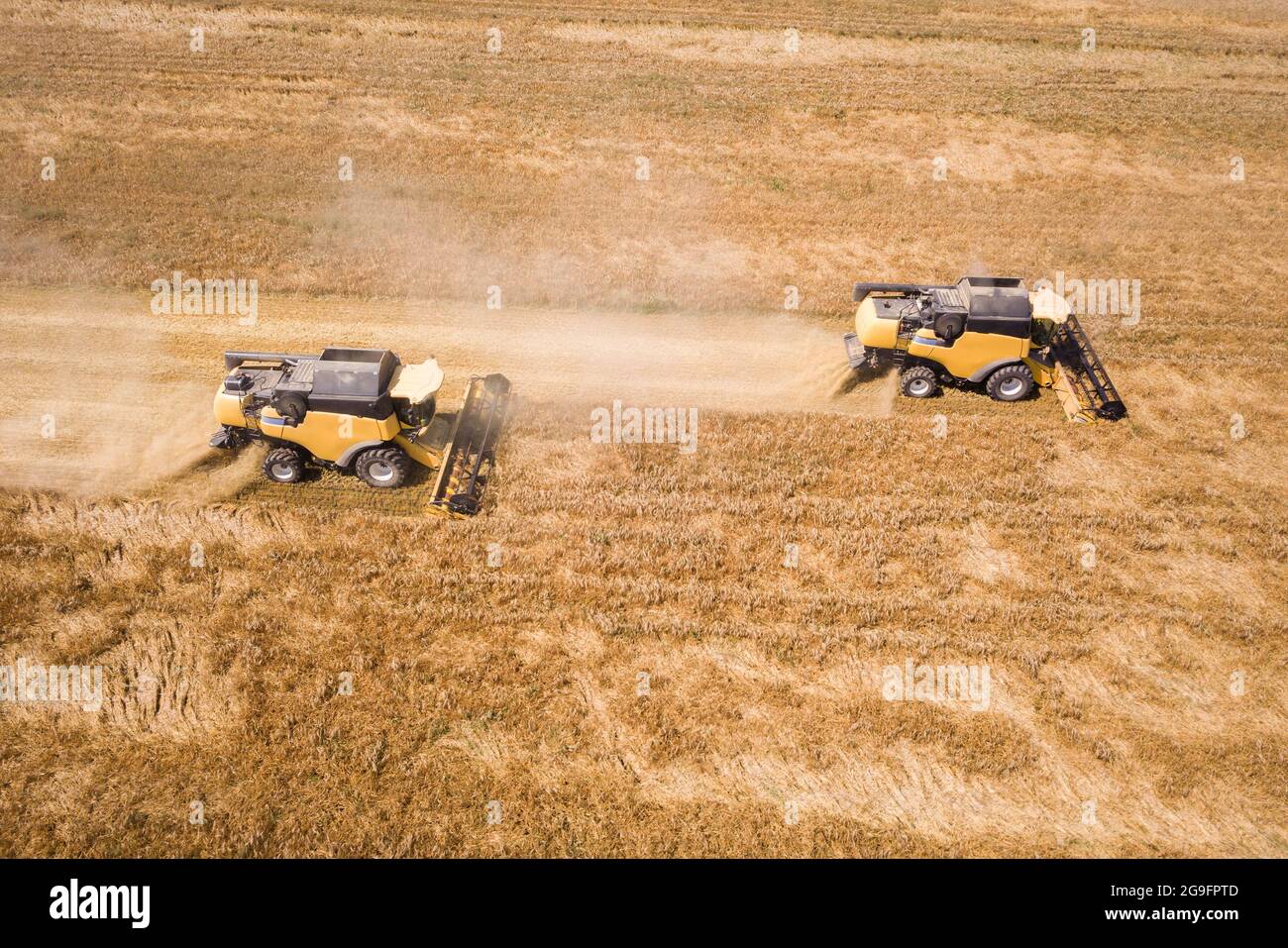 Aerial view of combine harvesters harvesting large yellow ripe wheat ...