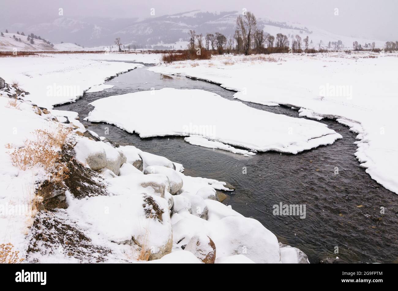 Lamar River and valley with snow and ice during winter, Yellowstone Park, USA Stock Photo