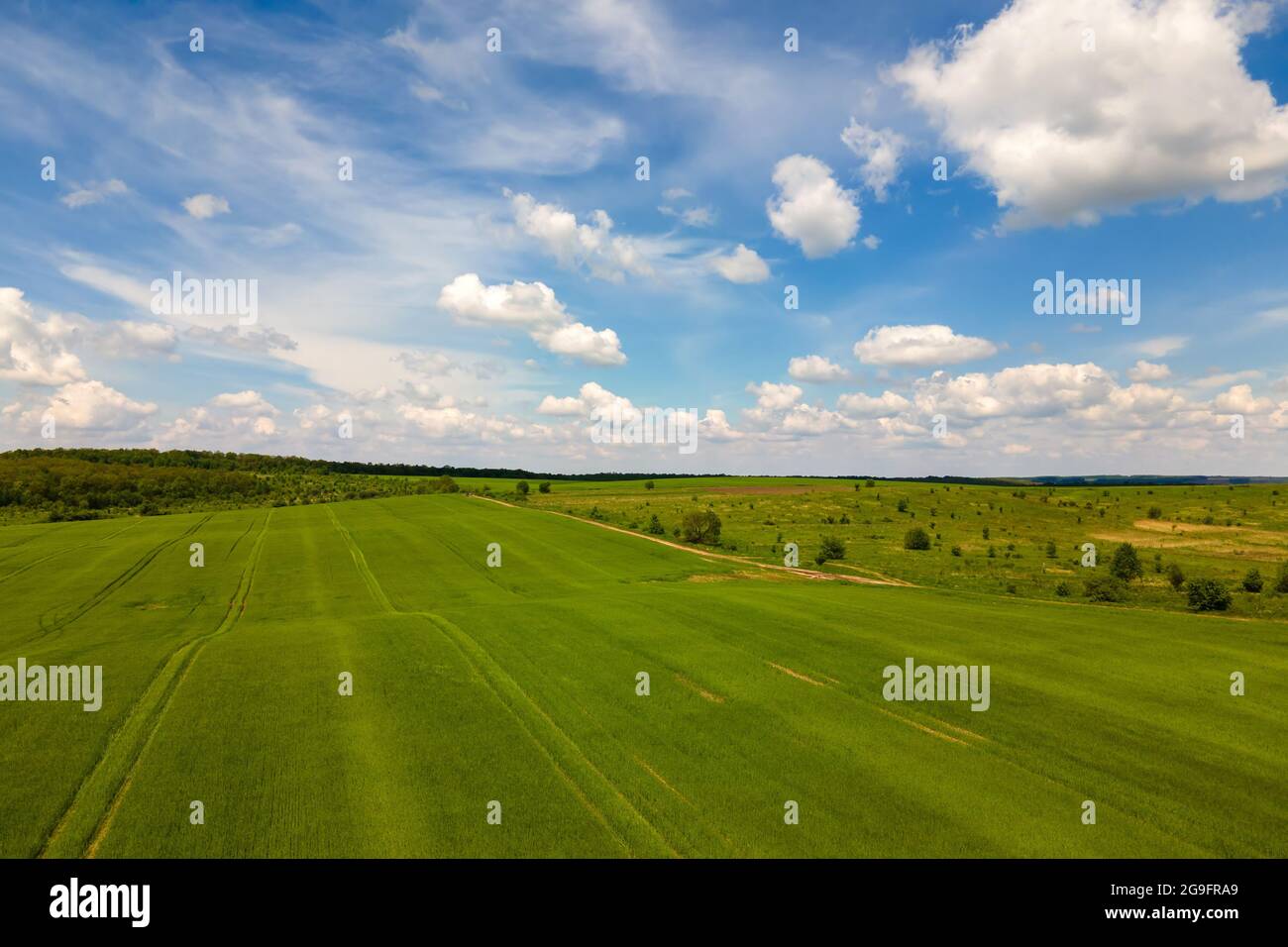 Aerial landscape view of green cultivated agricultural fields with ...