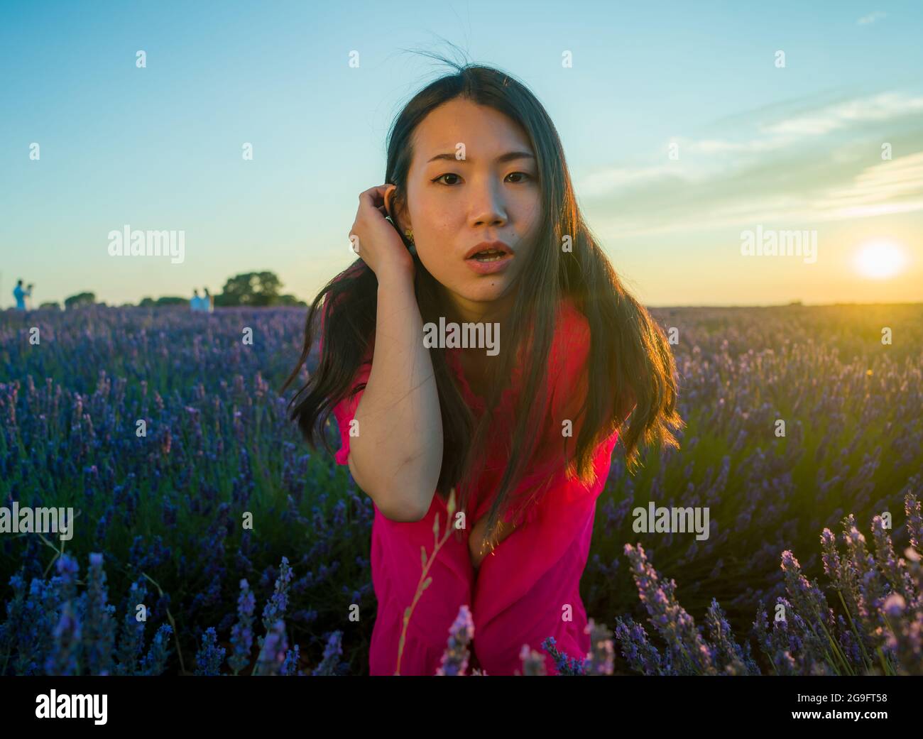 young happy and beautiful Asian Chinese woman in Summer dress enjoying free and playful at purple lavender flowers field on sunset in romantic beauty Stock Photo