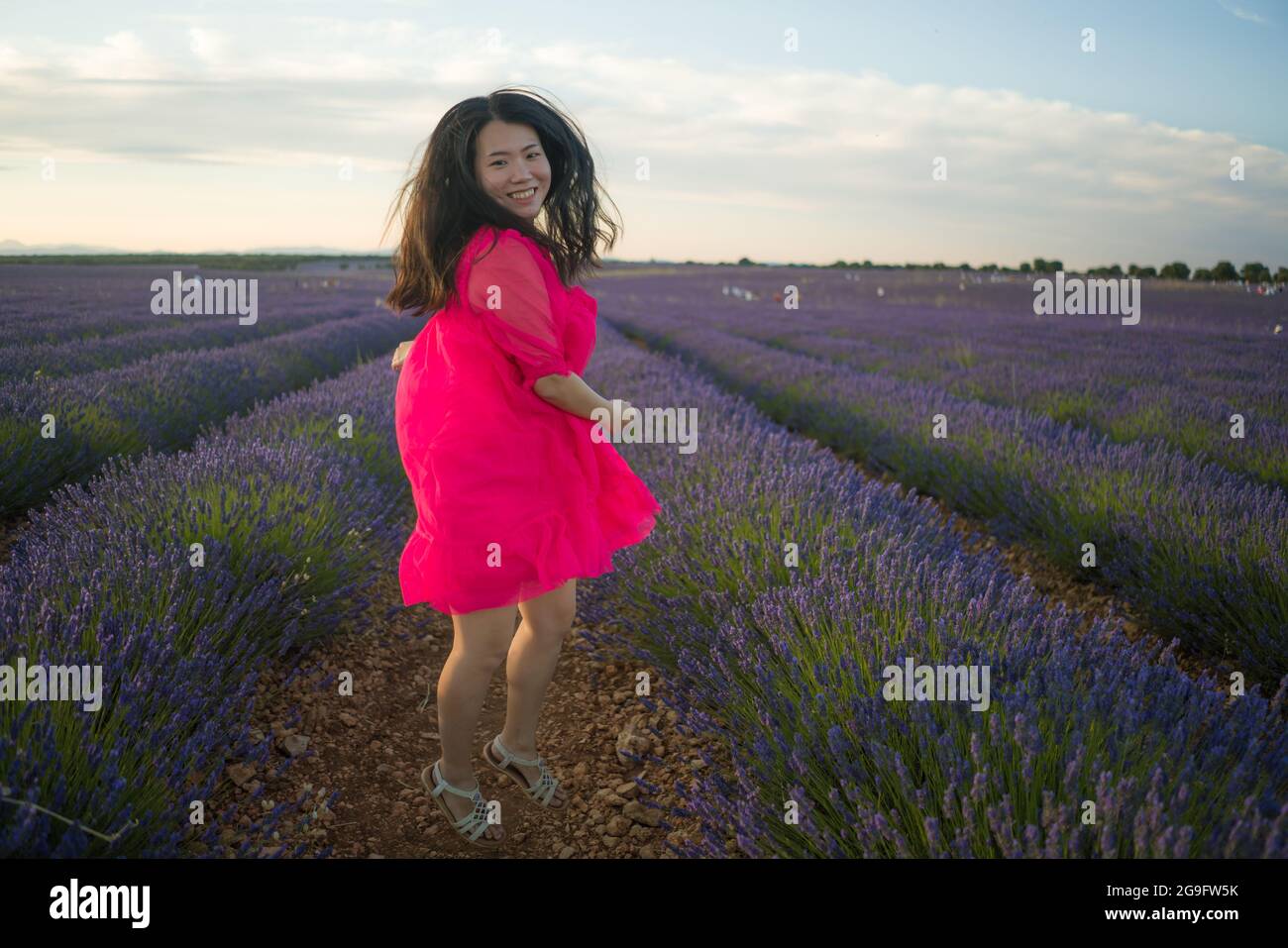 young happy and beautiful Asian Japanese woman in Summer dress enjoying nature free and playful outdoors at purple lavender flowers field in romantic Stock Photo
