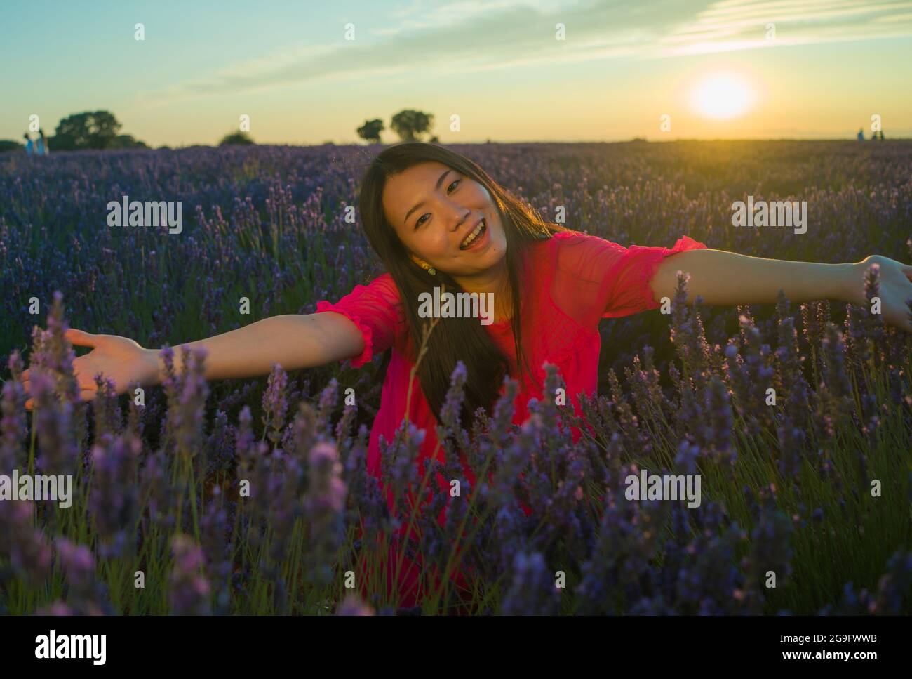 young happy and beautiful Asian Korean woman in Summer dress enjoying free and playful at purple lavender flowers field on sunset in romantic beauty a Stock Photo