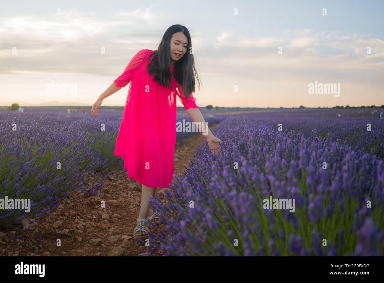 young happy and beautiful Asian Korean woman in Summer dress enjoying nature free and playful outdoors at purple lavender flowers field in romantic be Stock Photo