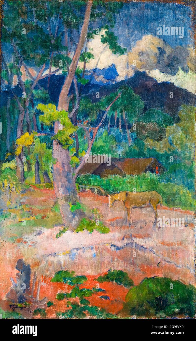 Paul Gauguin, Landscape with a Horse, painting, 1899 Stock Photo