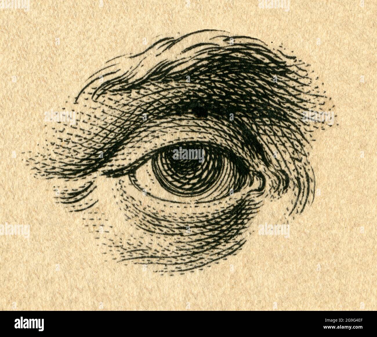 Europe, Germany, Bavaria, Augsburg, graphic of an eye, copperplate engraving by Johann Martin Will, ARTIST'S COPYRIGHT HAS NOT TO BE CLEARED Stock Photo
