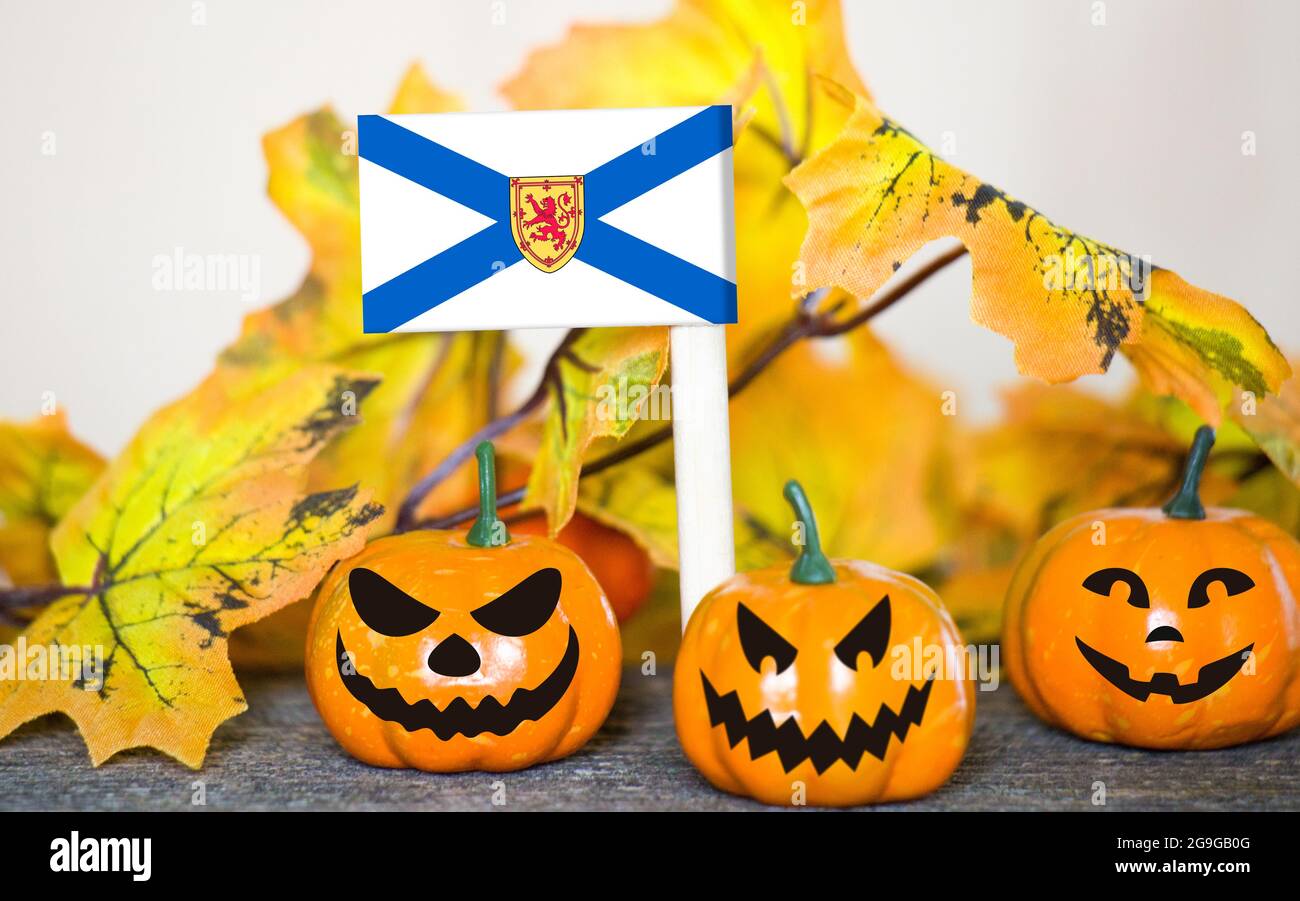 Colorful Halloween background with smiley pumpkins and toy flag of Nova