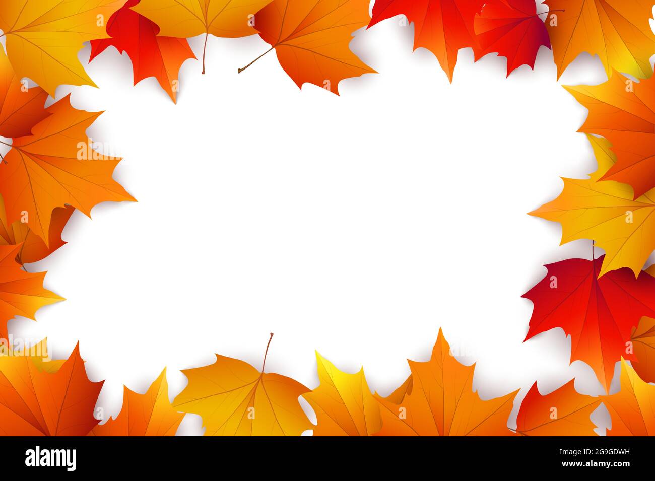 Autumn background with golden maple and oak leaves. Vector paper ...