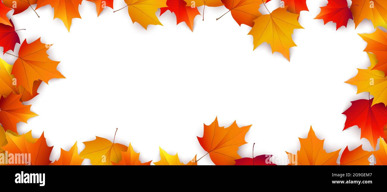 Autumn background with golden maple and oak leaves. Vector paper ...