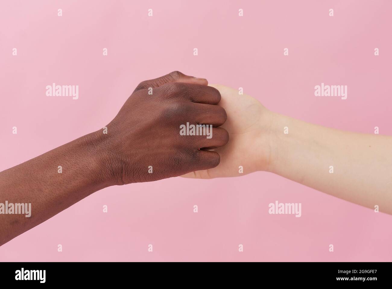 A handshake between an African American man and a Caucasian woman posing against a pink background, greeting each other, demonstrating international r Stock Photo