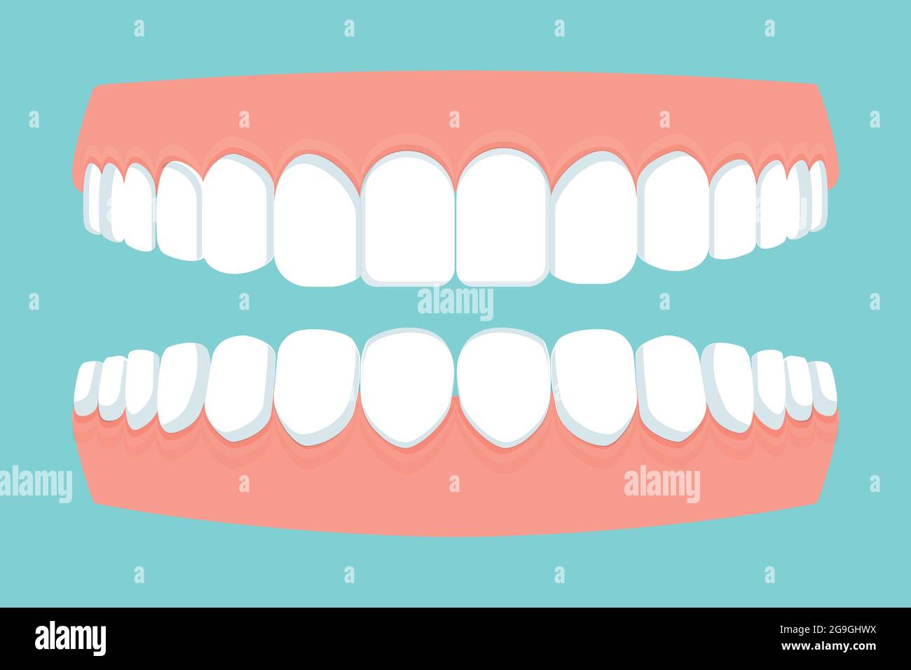 Open human mouth with jaws full of teeth, gums isolated. Dental, stomatology concept. Flat style, bright medical clipart. Vector illustration Stock Vector