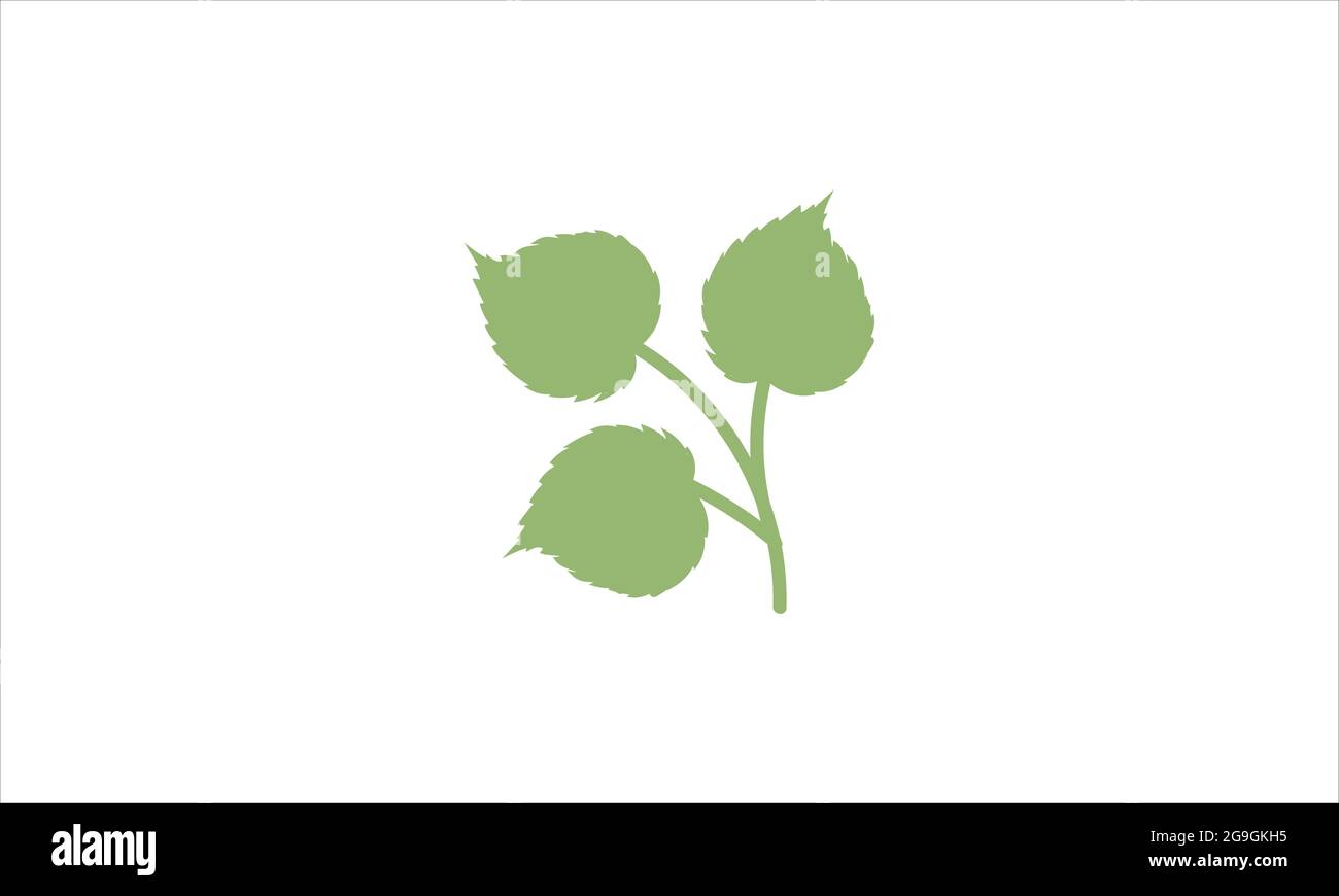 linden leaf icon vector design or linden leaf trendy icon logo design ...