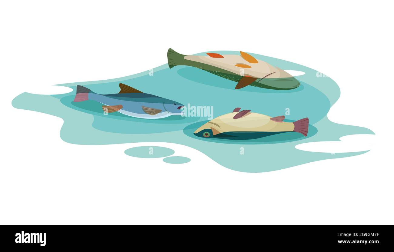 Poisoned dead fish in a dirty water Stock Vector