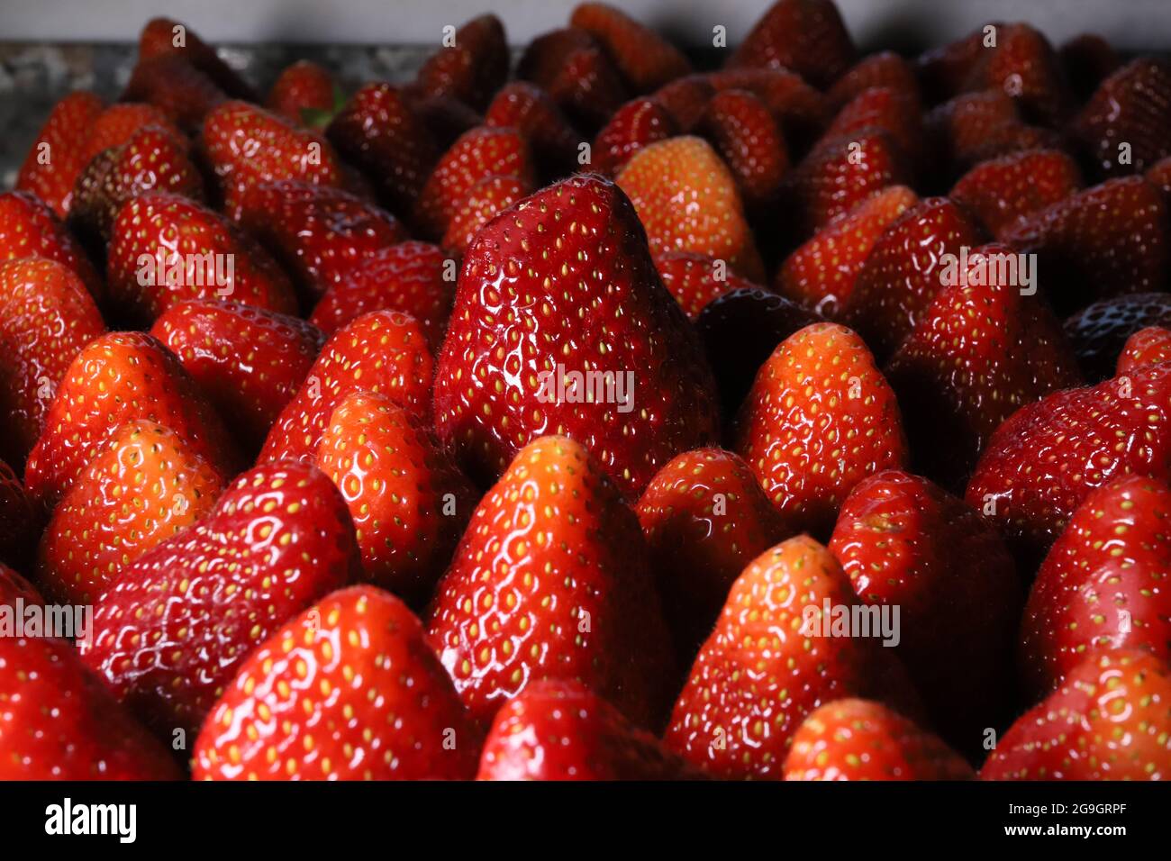 Vorhang auf für Erdbeeren (Fragaria): die Sommerfrucht Stock Photo