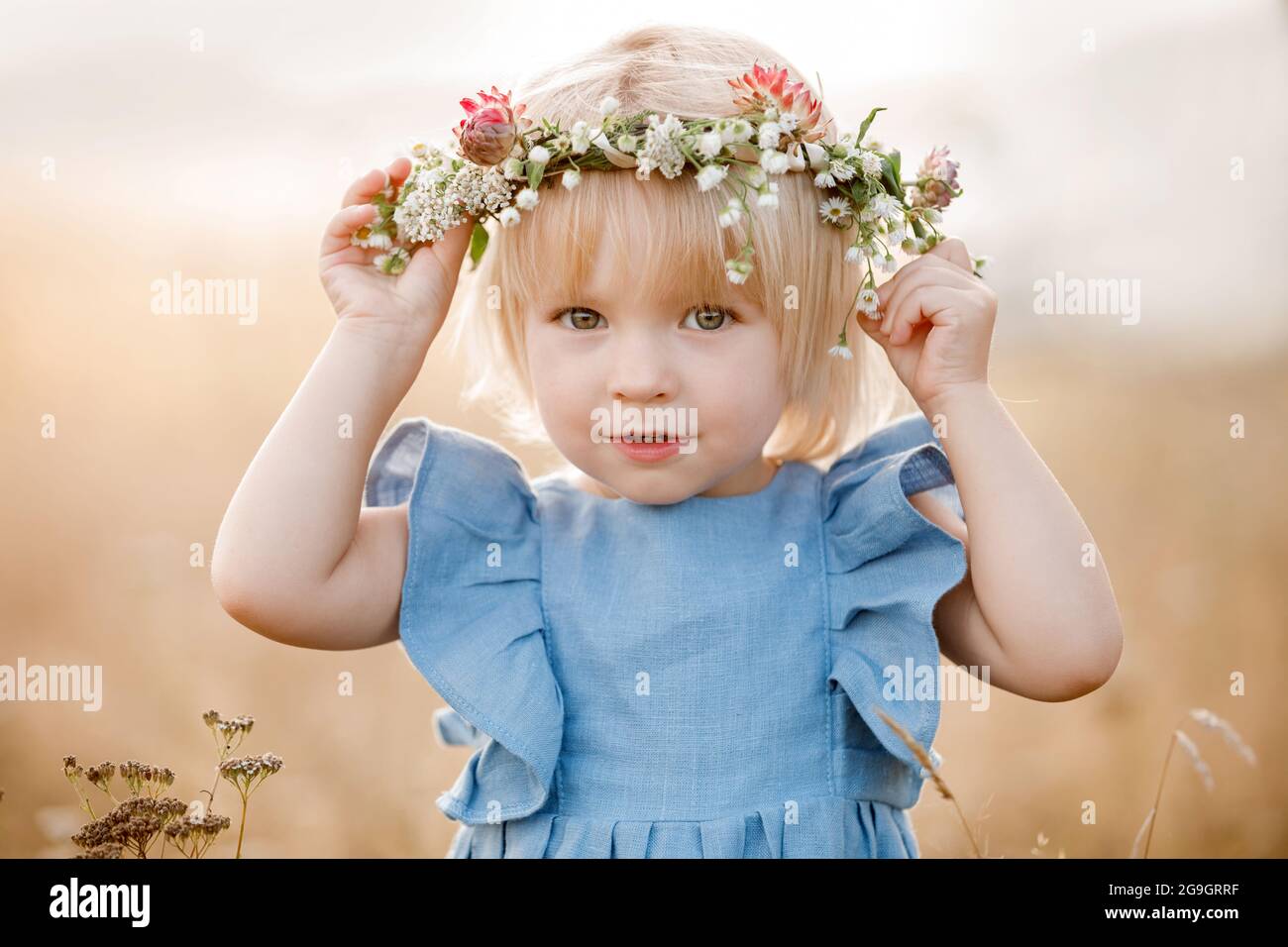 little girl is wearing a flower wreath on her head in a field on summer ...