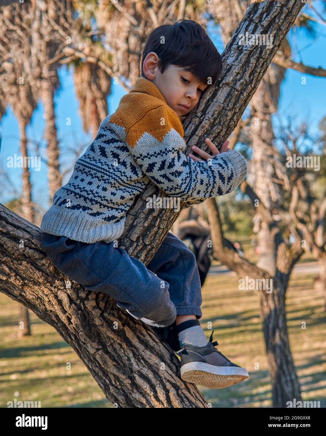Worried latin boy in the park climbing a tree hugging a branch