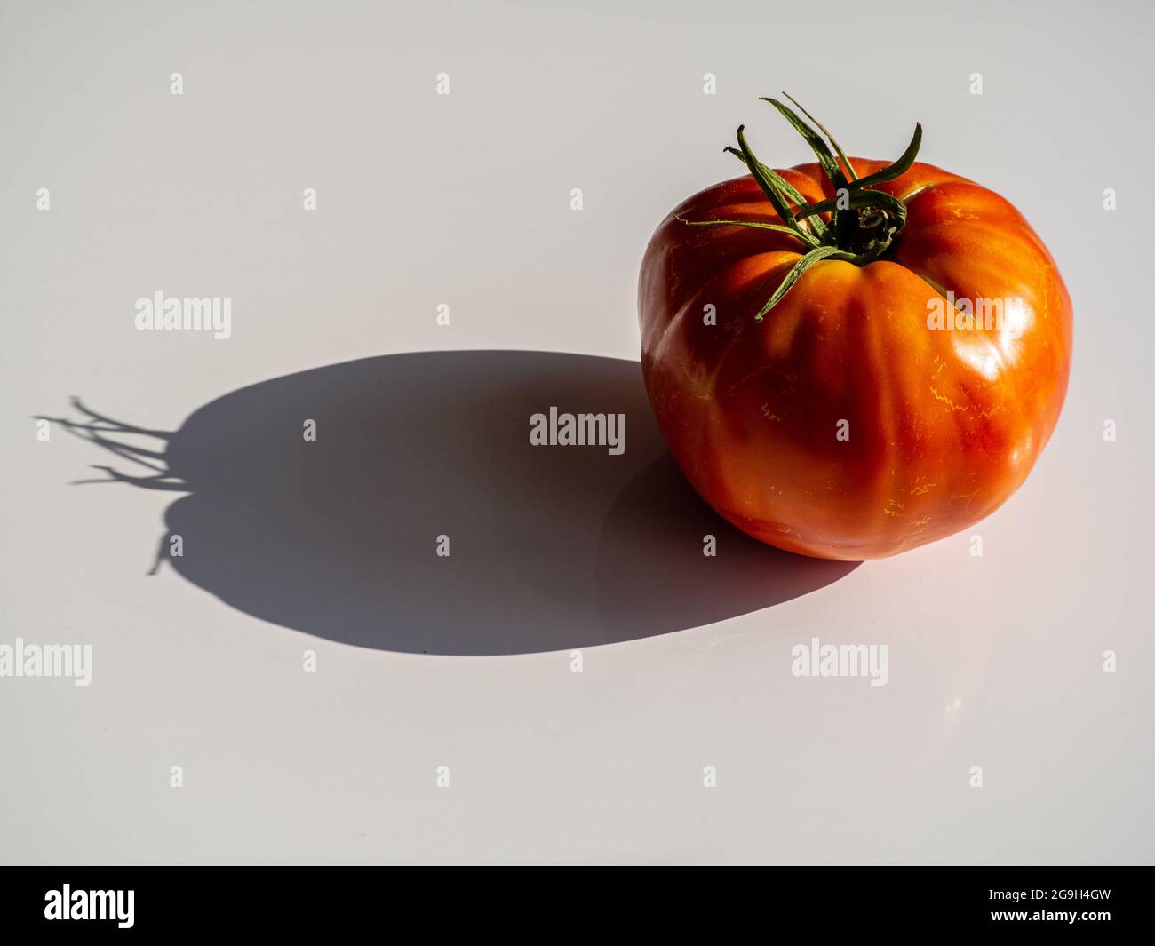 organic tomato and its shade Stock Photo Alamy