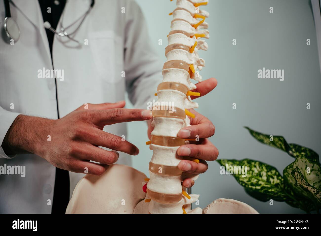 Mixed race male doctor holding skeleton explaining to patient areas of the spine Stock Photo