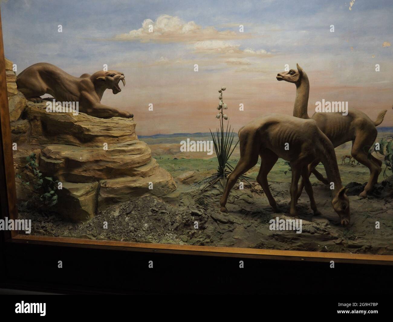 LAWRENCE, UNITED STATES - Jul 10, 2021: A painting of animals at the ...