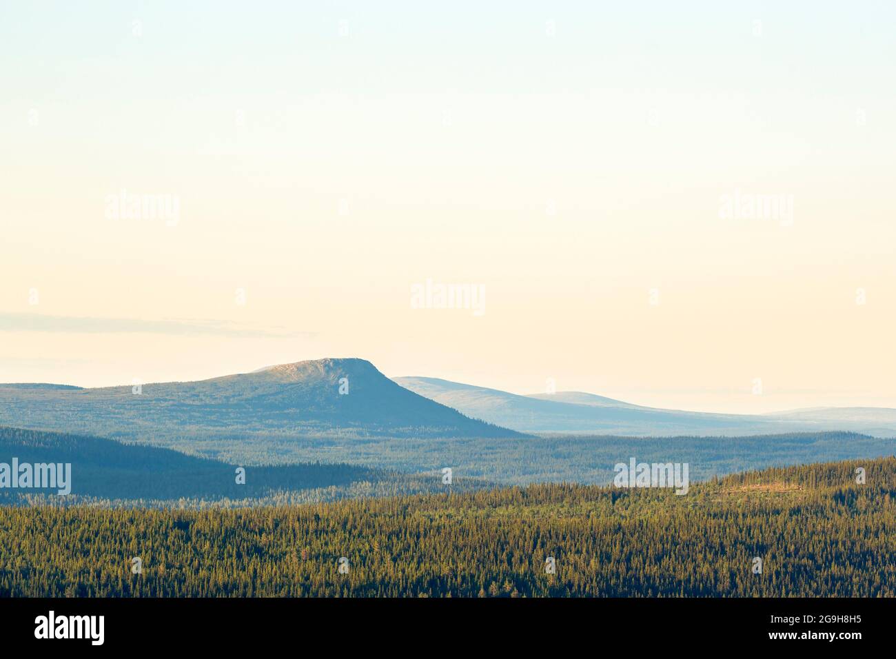 Beautiful scenery of forest hi-res stock photography and images - Alamy