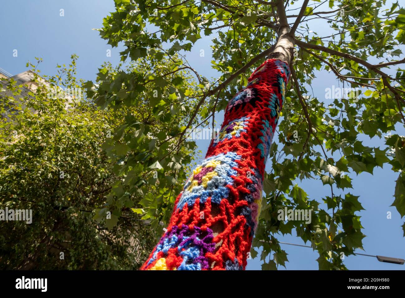 Colourful knitted and crocheted yarns wrap a trunk of a "Yarn Bombed