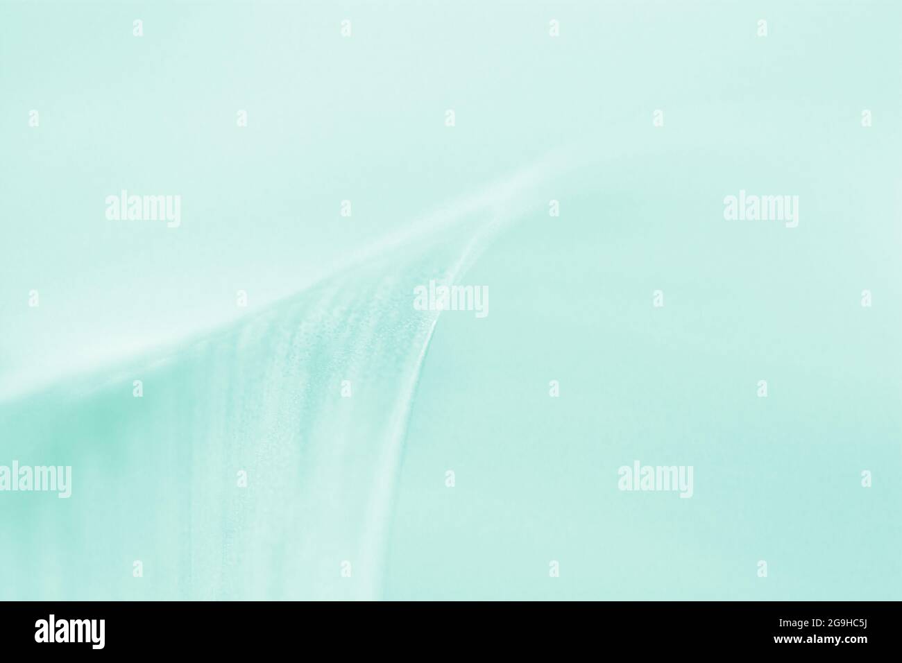 Mint color banner background hi-res stock photography and images - Alamy