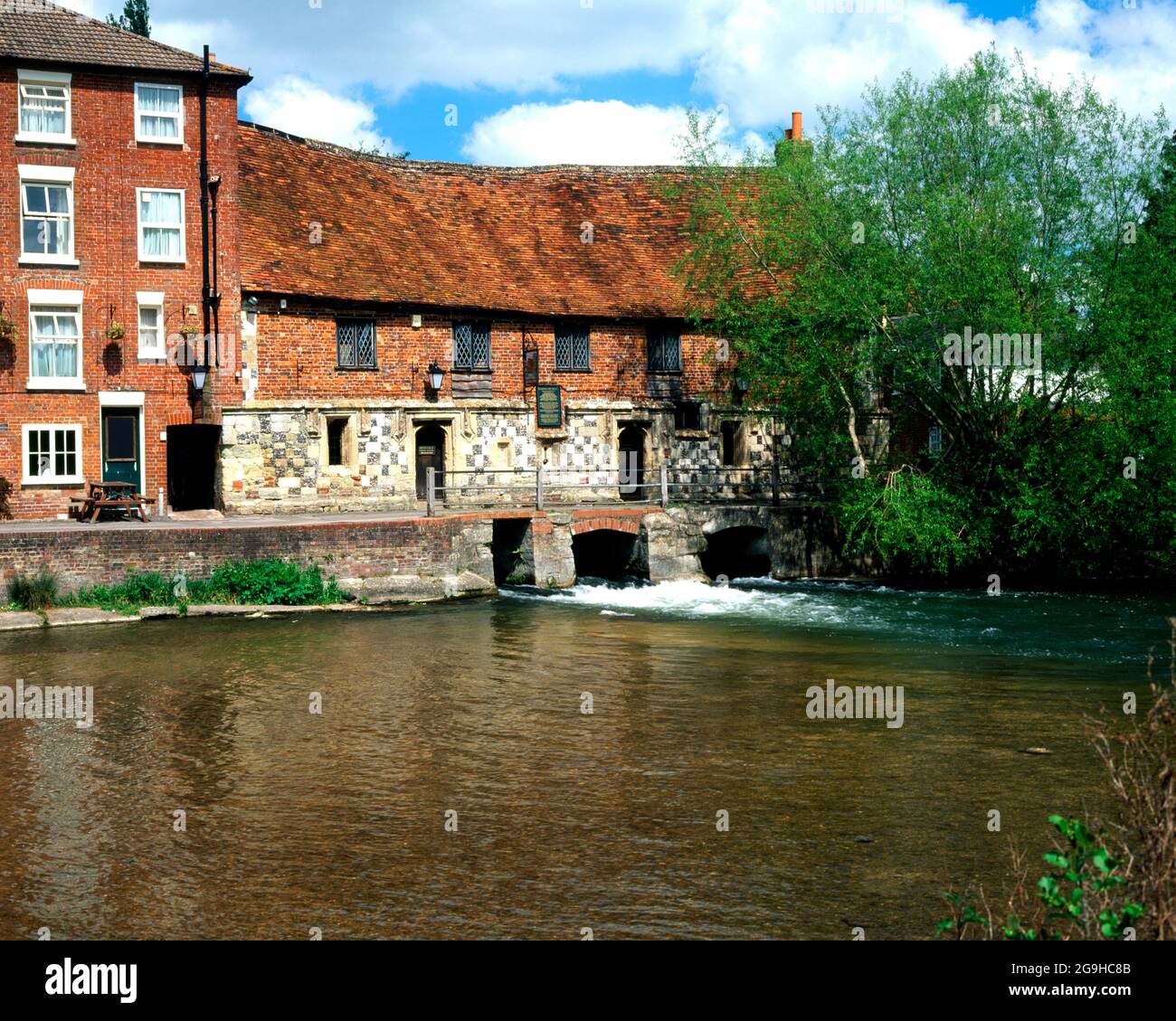 My Image 8