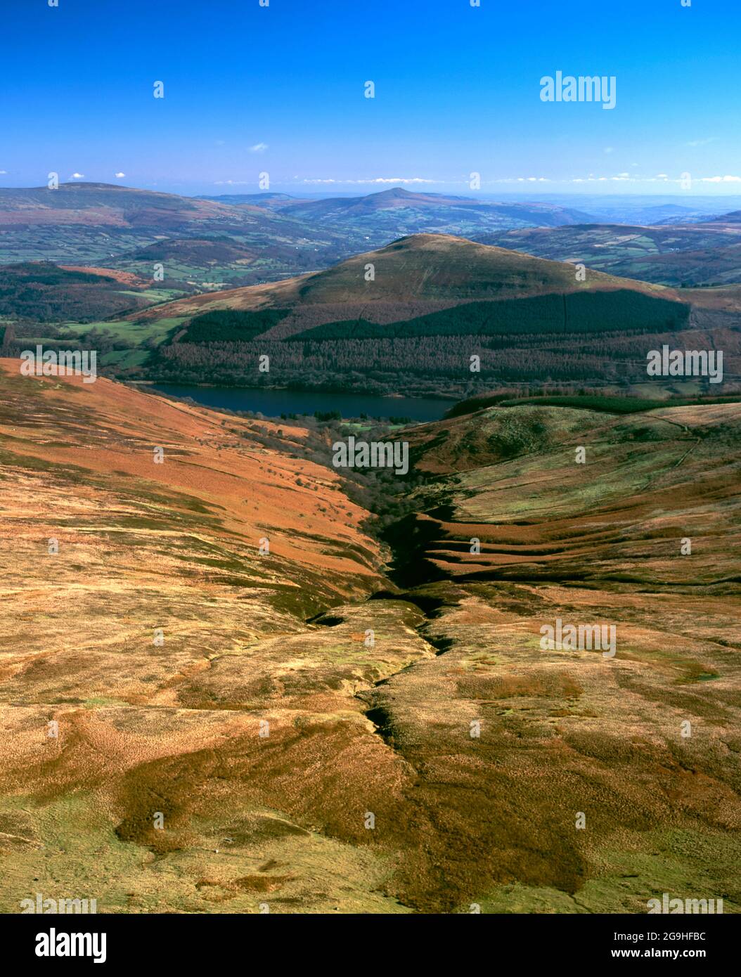 View across Talybont Reservoir from the summit of Waun Rydd looking towards Tor Y Foel, Brecon Beacons National Park, Powys, Wales. Stock Photo