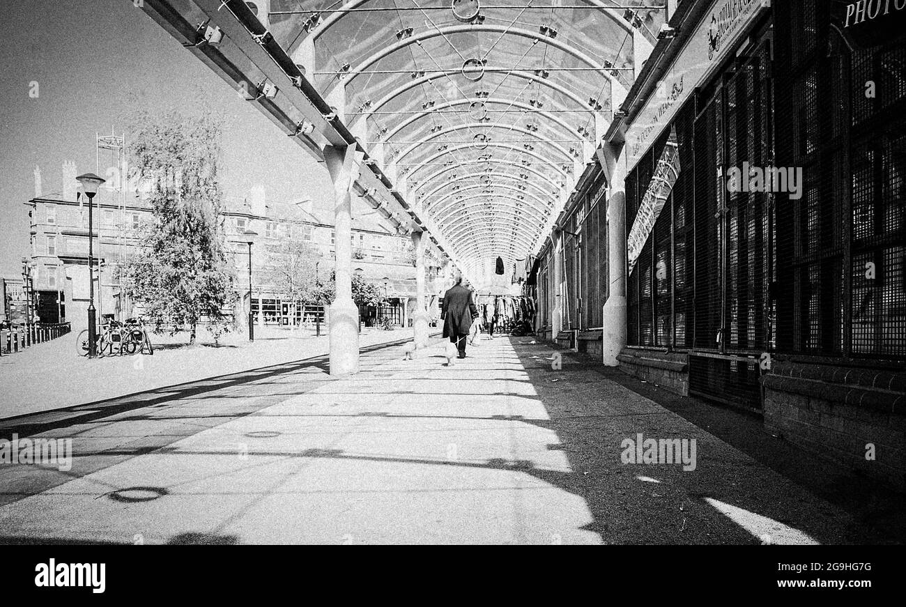 Dogwalker hires stock photography and images Alamy