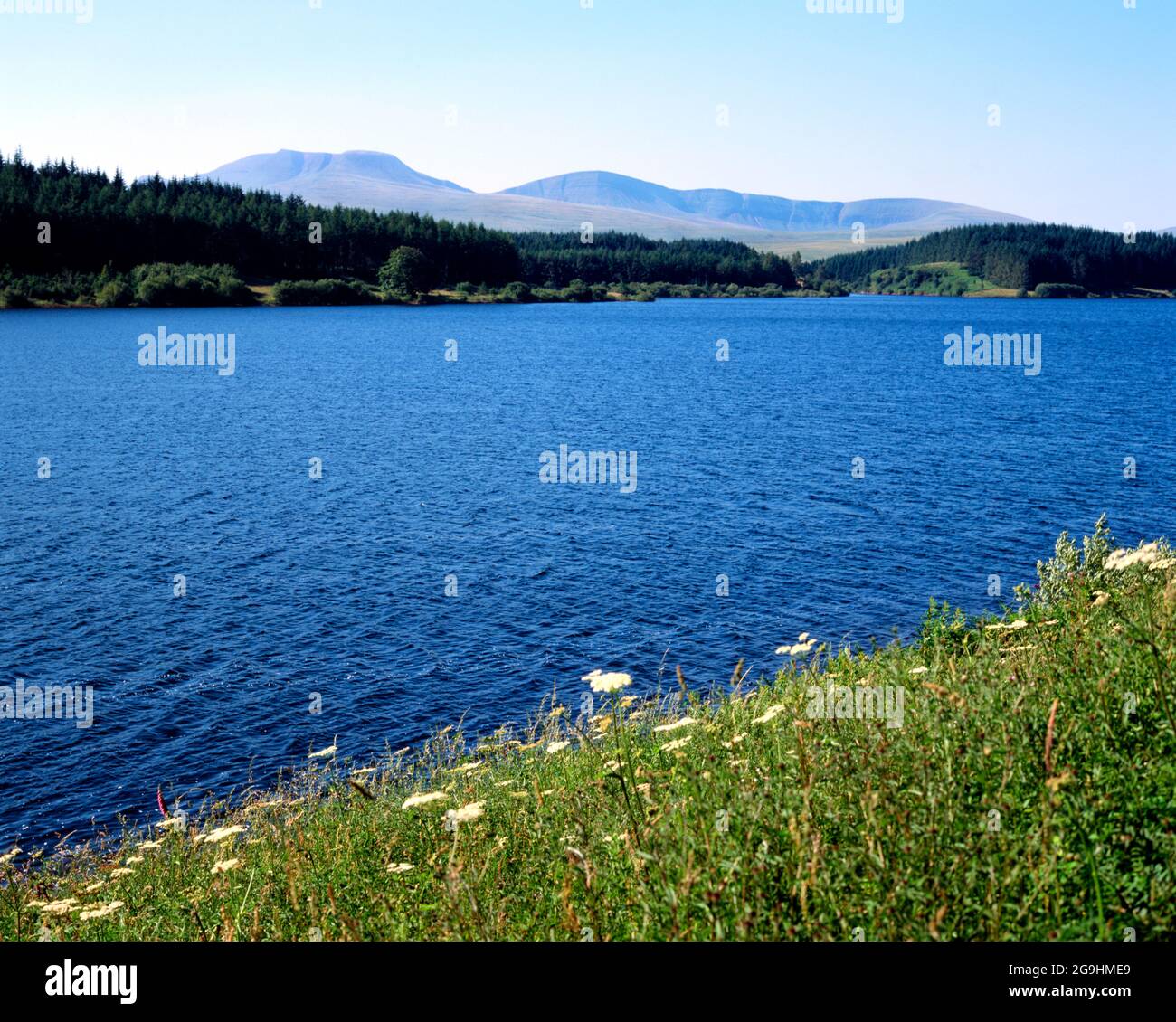Usk reservoir hires stock photography and images Alamy