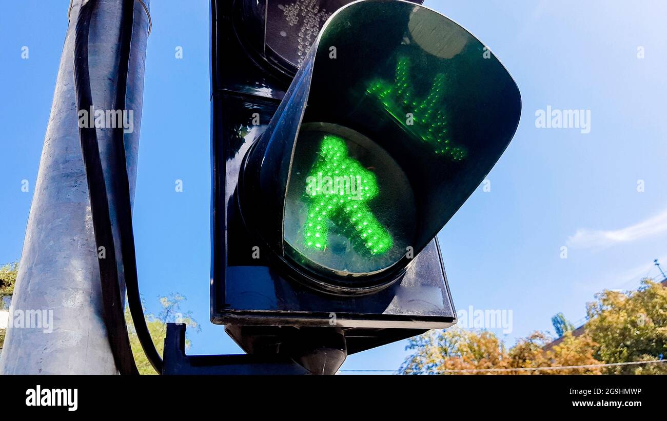 Traffic light with green light and safe for movement. Pedestrian