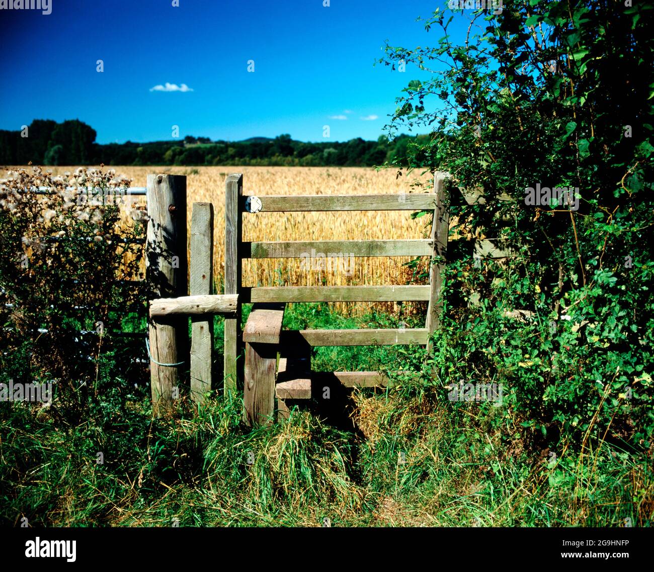 Stile on Usk valley walk, The Bryn near Abergavenny, Monmouthshire, South  Wales. Stock Photo