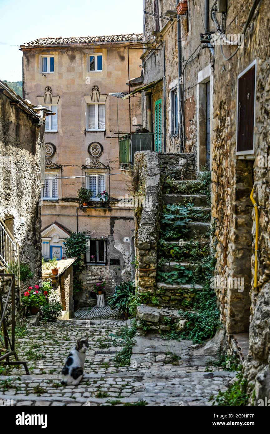 romano hires stock photography and images Alamy