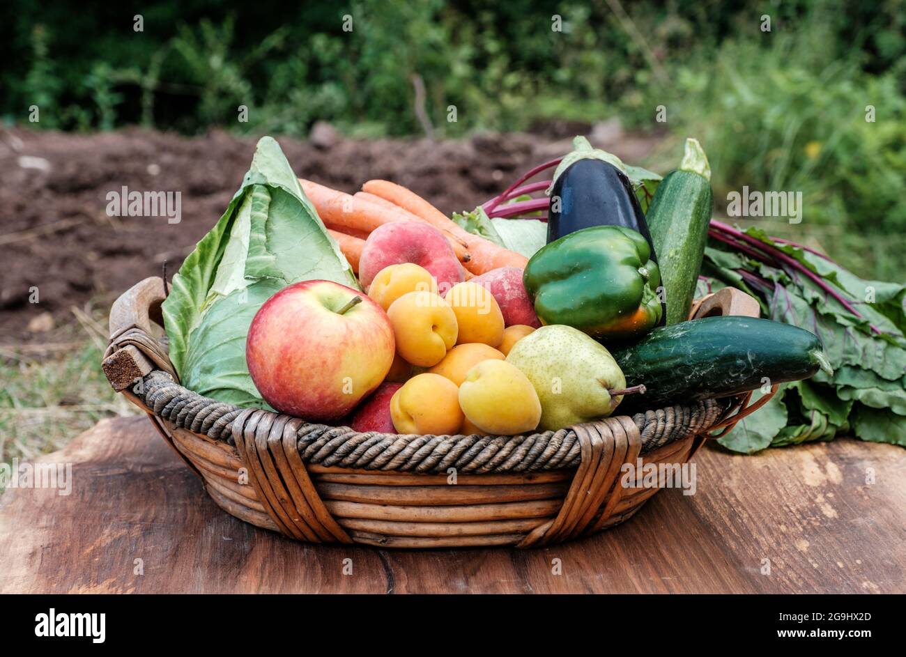 basket full of organic vegetables and fruit Stock Photo - Alamy