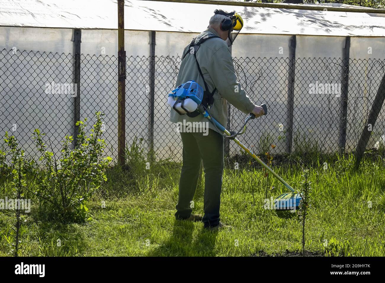 Gardener takes care of garden. Process of cutting green grass with