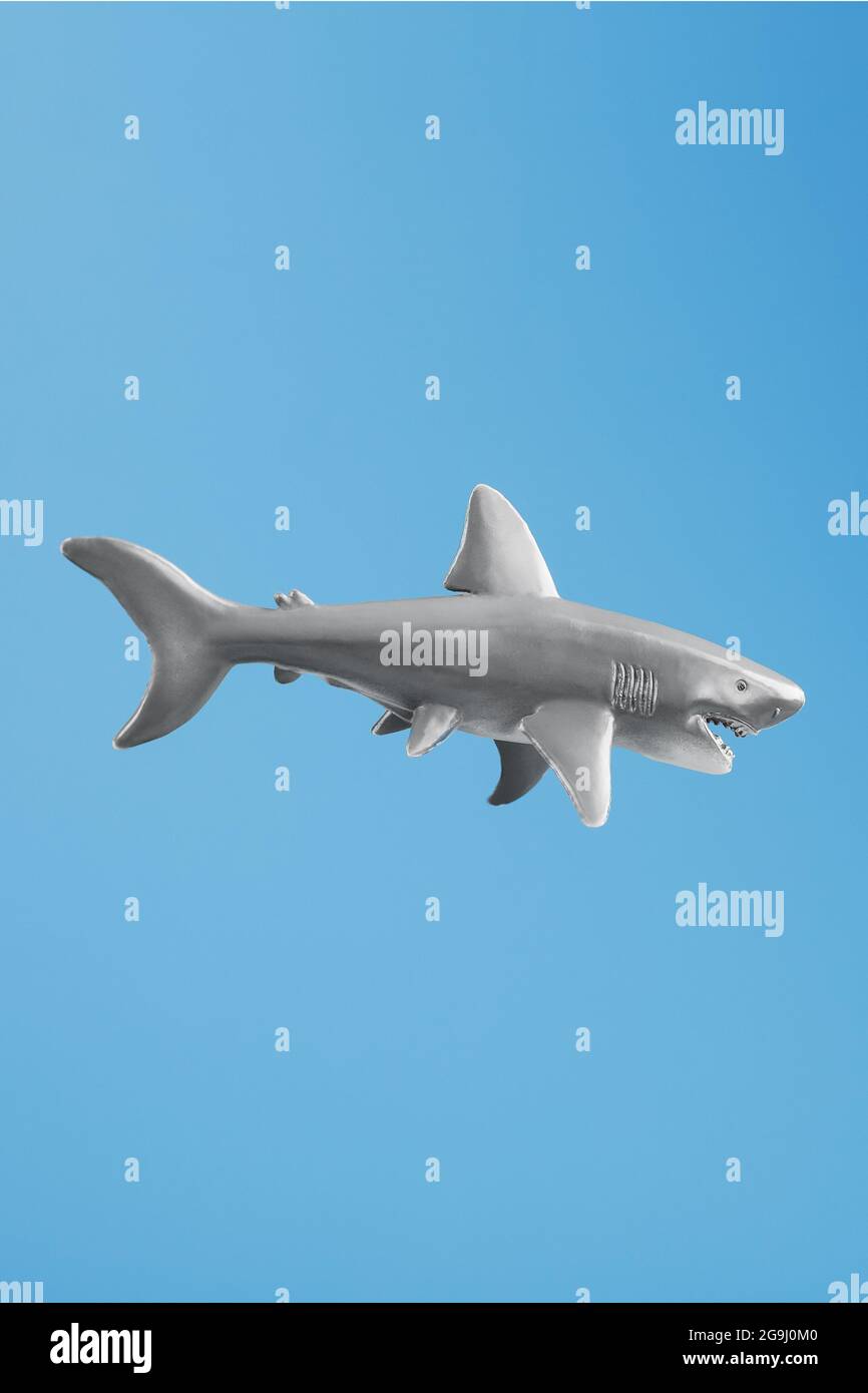 Shark toy on a blue background with free space. Isolate Stock Photo