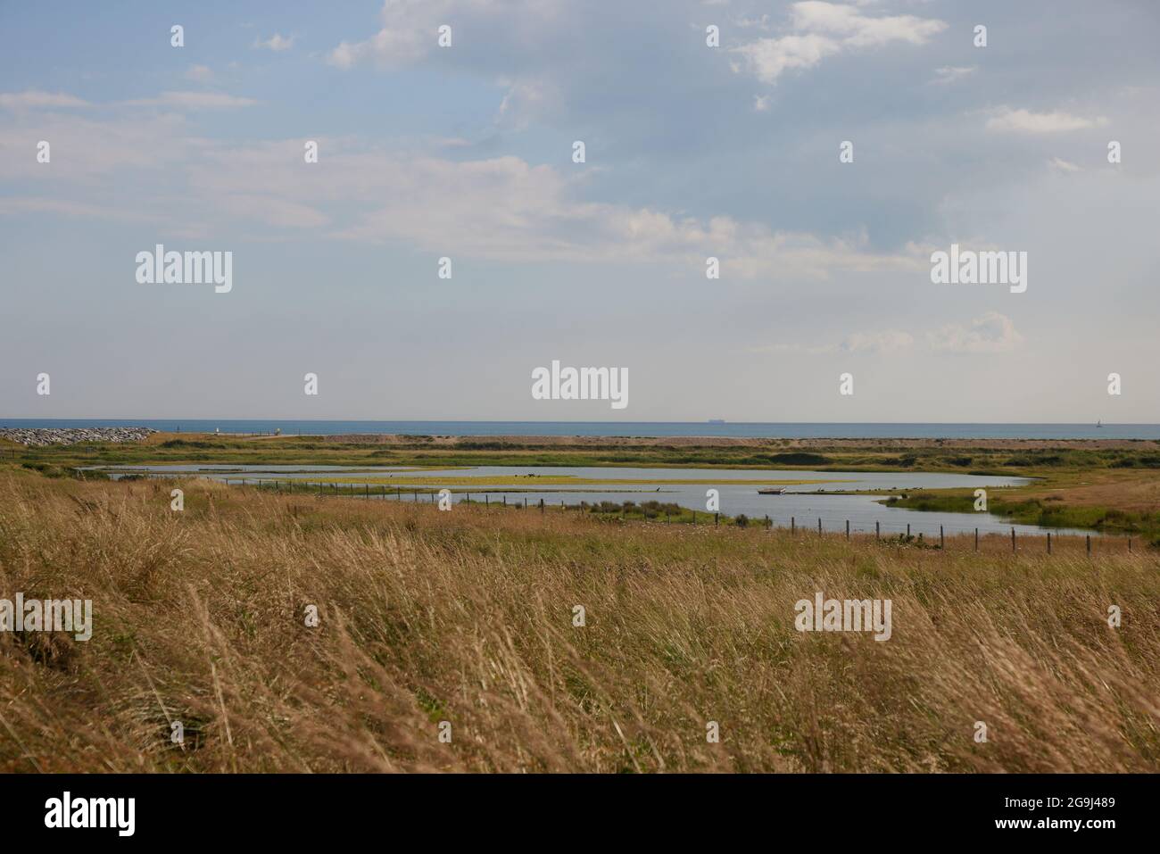 Wetlands seen in Medmerry nature reserve. Stock Photo