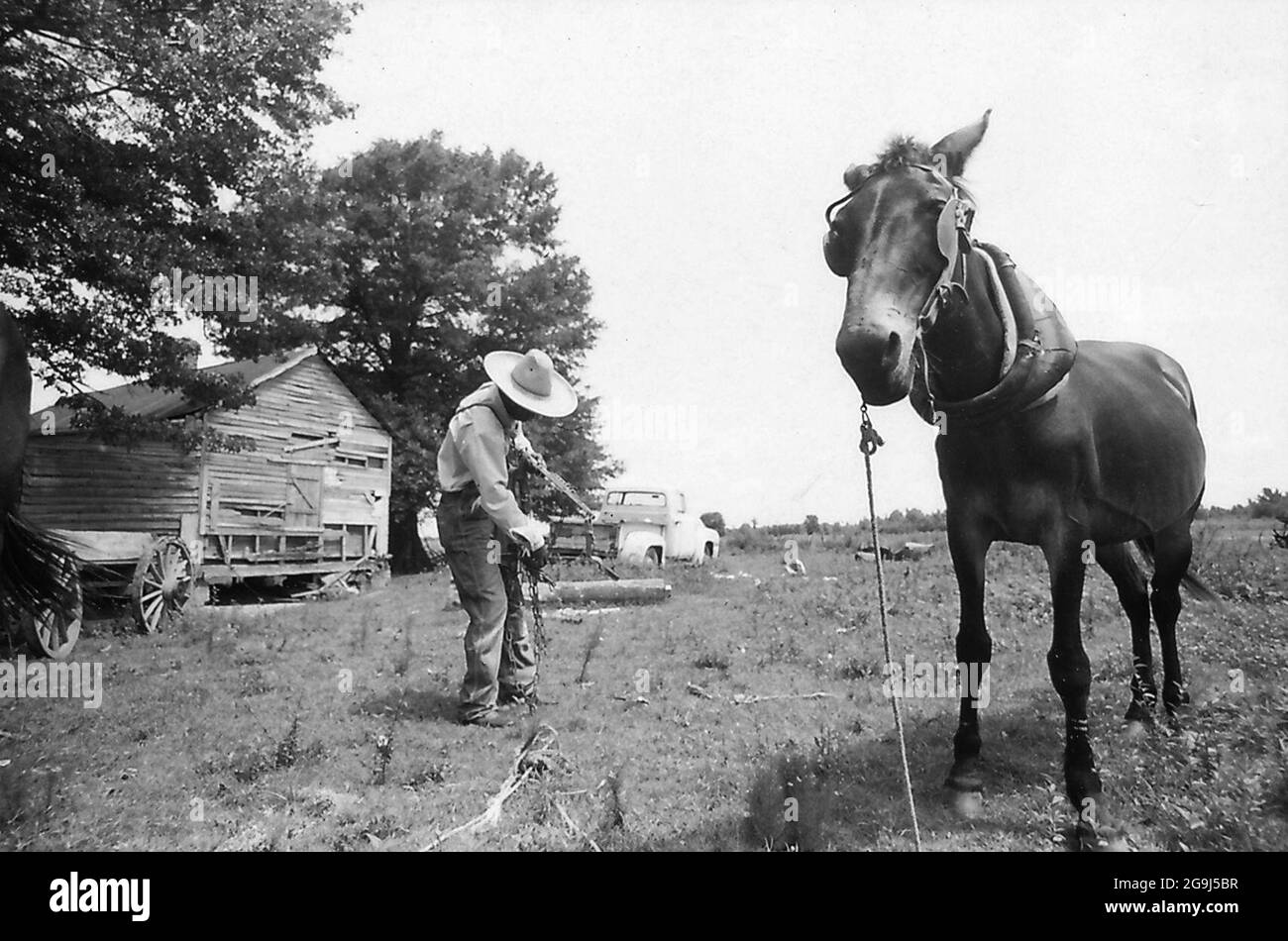 Farmer from the Southwest Alabama Farmers Cooperative Association