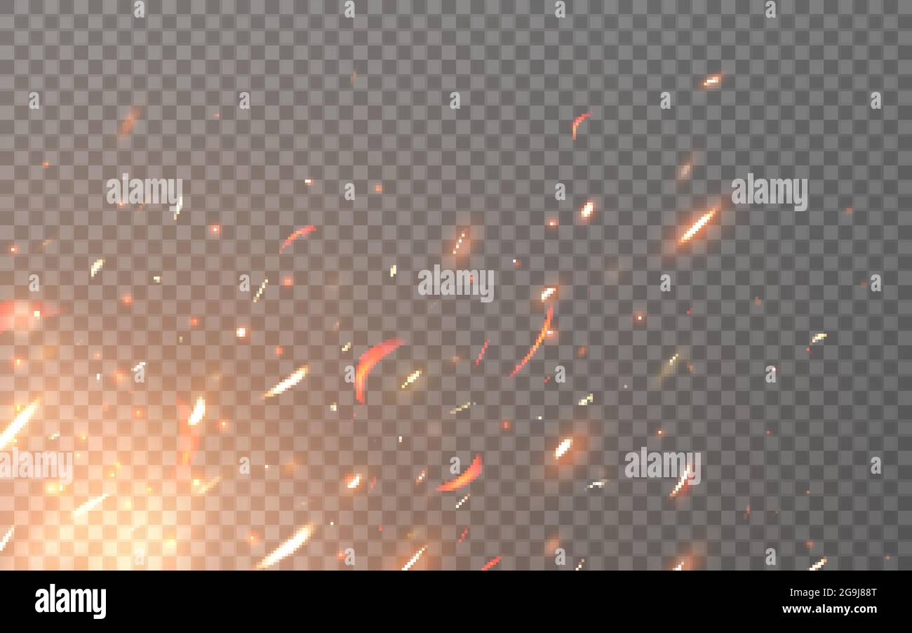 Fire sparks. Flying particles on transparent backdrop. Realistic flame