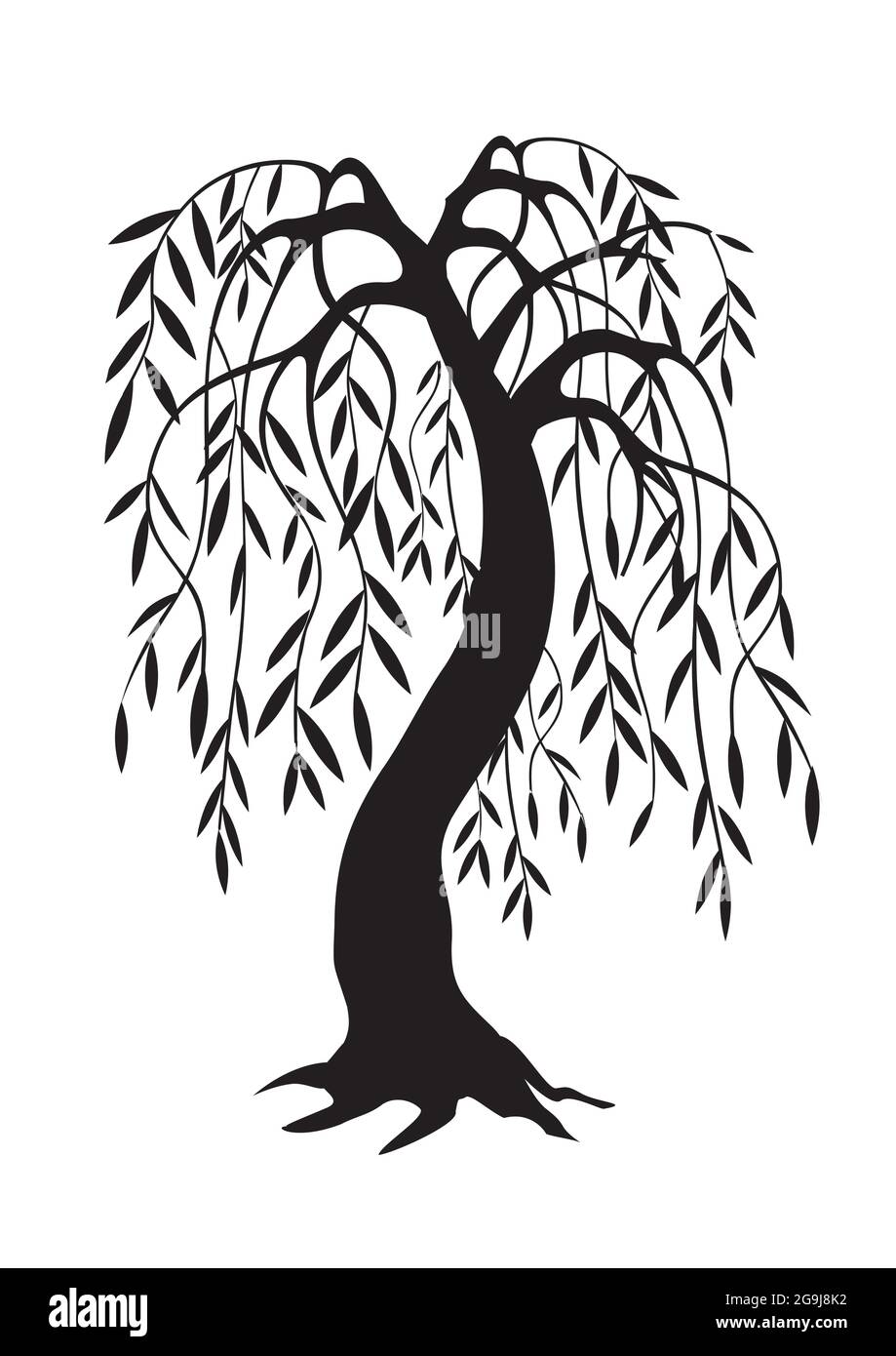 Weeping Willow tree, black silhouette. Illustration of melancholy tree motive. Isolated on white background. Vector available. Stock Vector