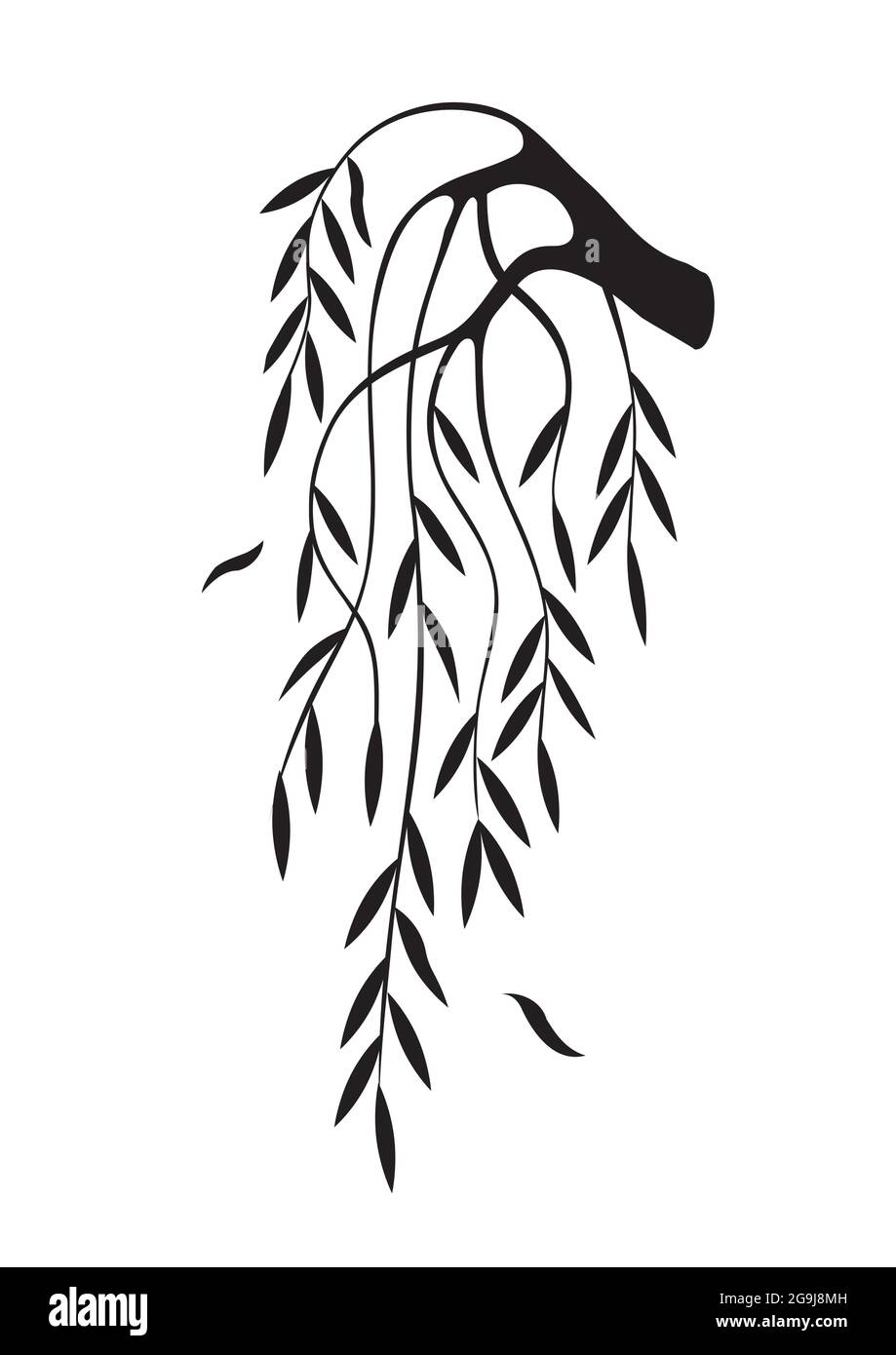 Weeping Willow tree branch silhouette. Illustration of melancholy motive. Isolated on white background. Vector available. Stock Vector