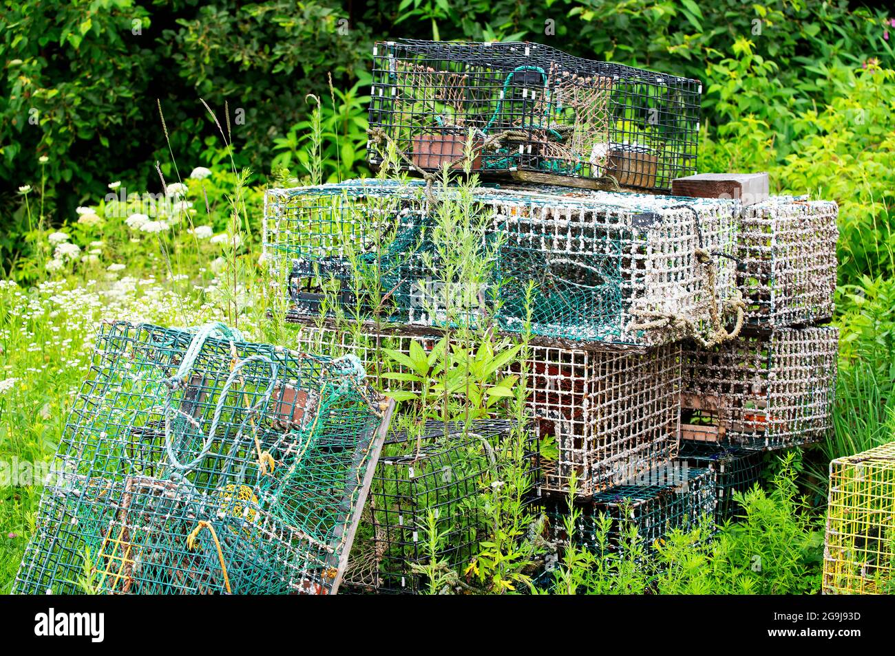Lobster traps on the shore of  Owls Head, Maine, USA Stock Photo