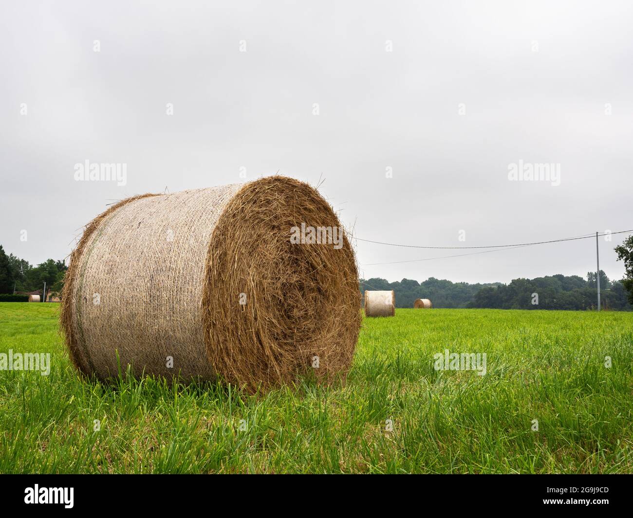 Straw rolls in the French countryside Stock Photo Alamy