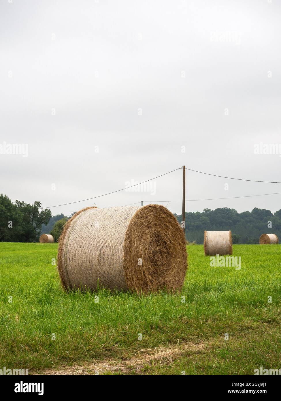 Straw rolls in the French countryside Stock Photo Alamy