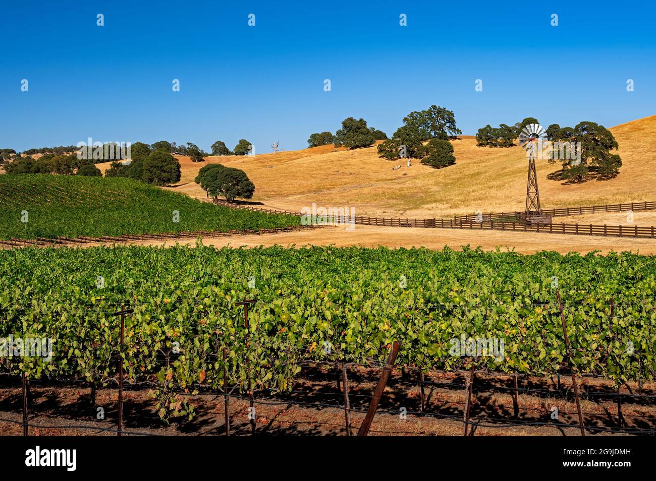 Amador County Golden Landscape, California Stock Photo